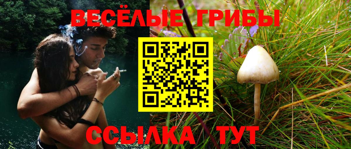 Магадан  Псилоцибиновые грибы GOLDEN TEACHER  Вход с VPN 