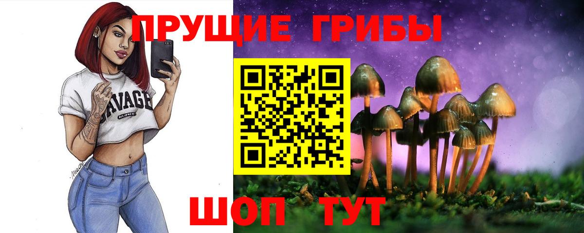 Галлюциногенные грибы ЛСД Магадан